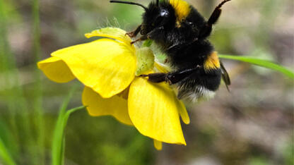 50 лет ООПТ ЛО!