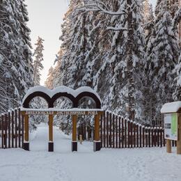 Какие ООПТ Ленинградской области стали самыми популярными в зимнем сезоне?