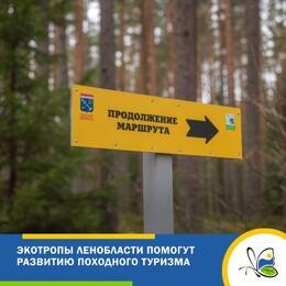 Экотропы Ленобласти будут способствовать развитию походного туризма