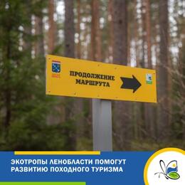 Экотропы Ленобласти будут способствовать развитию походного туризма