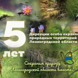 Дирекции ООПТ ЛО исполнилось 5 лет !