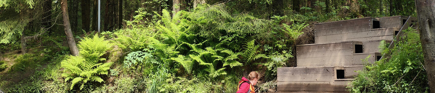 Водный маршрут «Линия Охта»