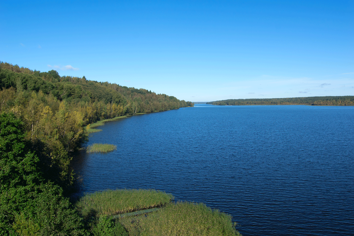 Озеро красное ленинградская область