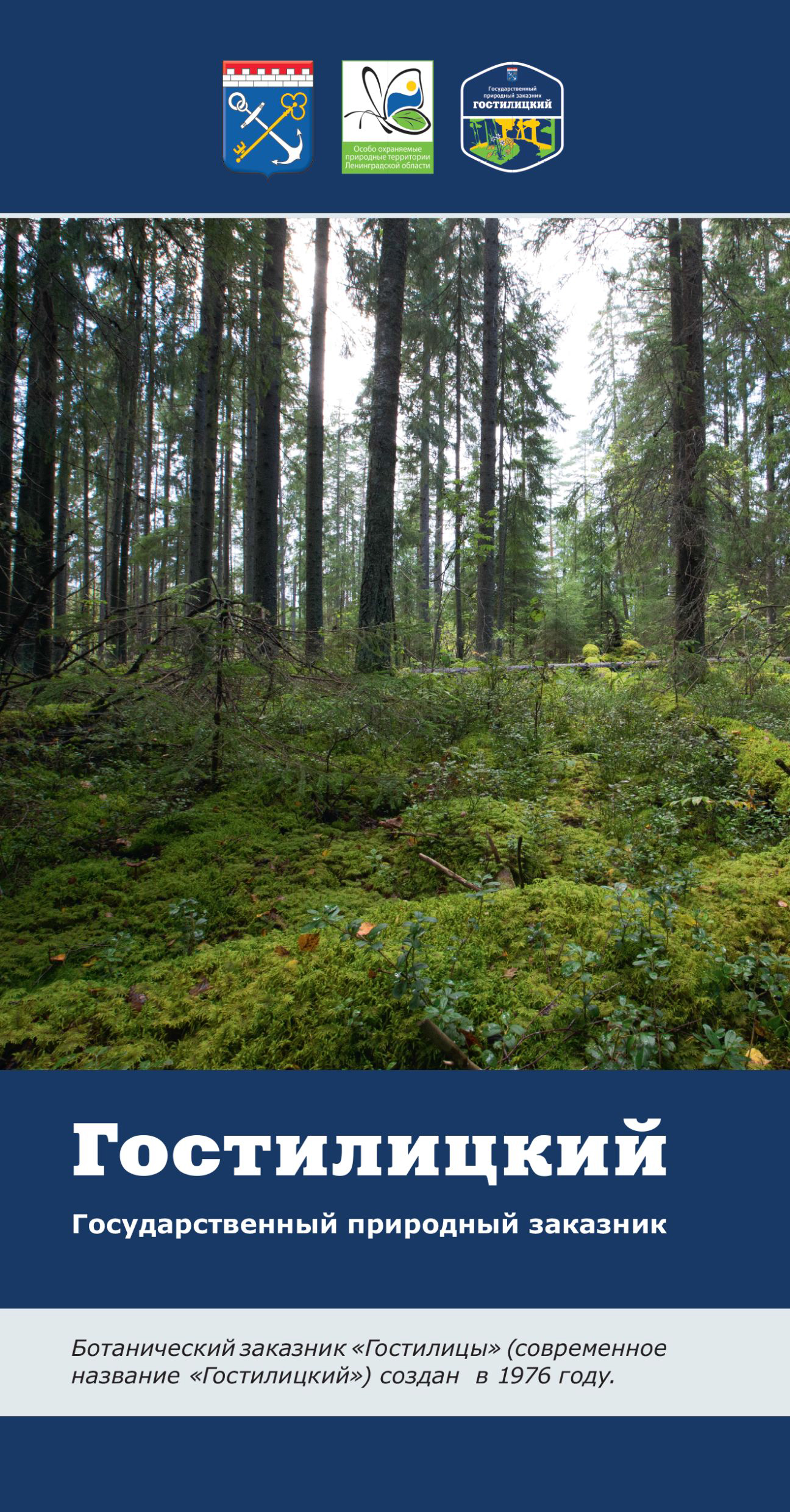 Гостилицкий