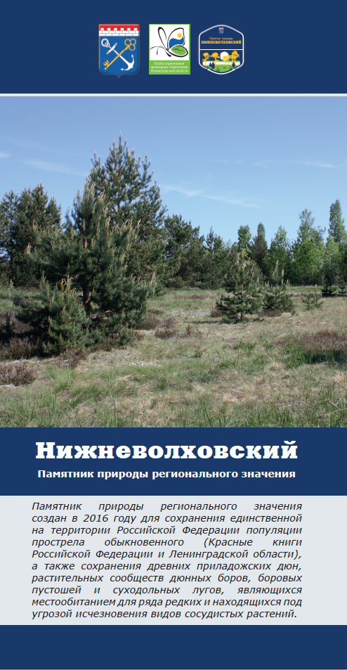 Нижневолховский